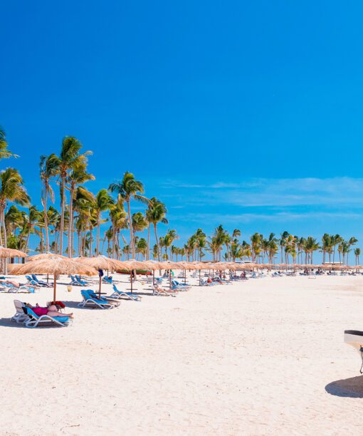 Alternative view of Omanas