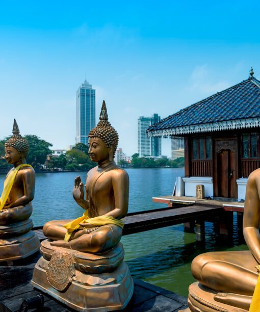 Alternative view of Šri Lanka Pažintinė kelionė