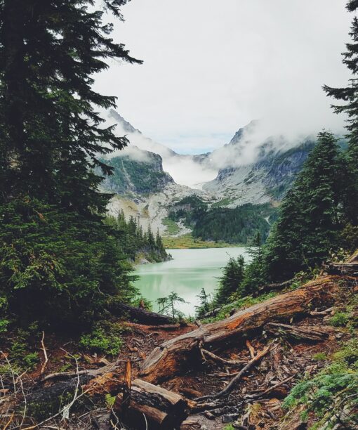 Pažintinės kelionės